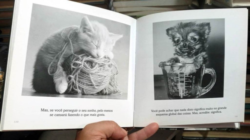 O Sentido Da Vida - Isbn 9788575420232 (Usado)
