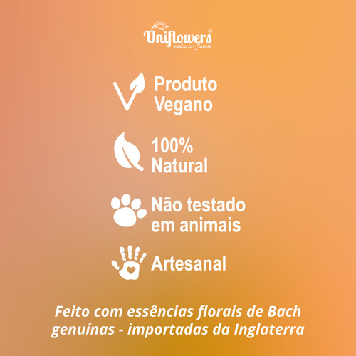 Uniflowers Floral Bach Gotas Objetivo 9ml Foco Concentração
