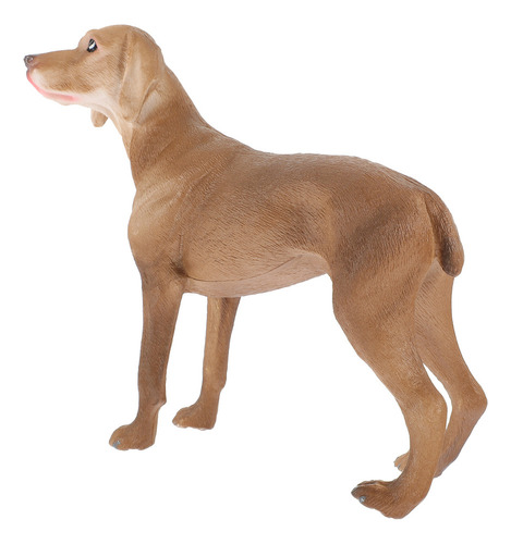 Simulación Perro Weimaraner Simulación Pet Dog The Dog