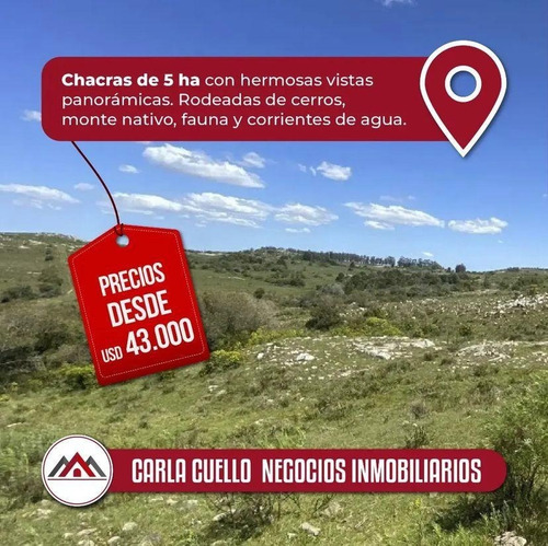 Imagen 1 de 19 de Venta, Chacras De 5 Hectáreas, Maldonado.