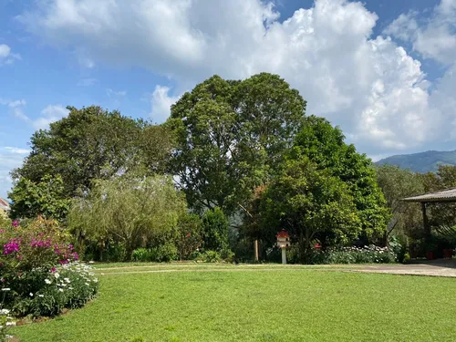 Felidia, 4.093 M2, Finca Campestre.