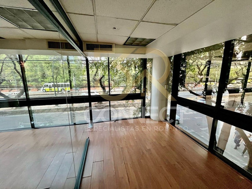 Oficina En Renta En Polanco 5c/2e - Excelente Ubicación - 170m2