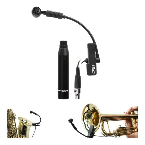 Micrófono Para Instrumento De Viento Eikon Hcs20 Condensador