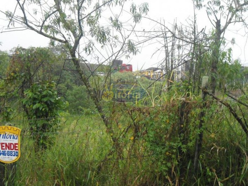 Imagem 2 de 4 de Excelente Terreno - 750