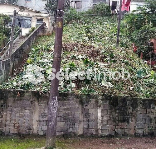 Imagem 2 de 3 de Terreno - Roncon - Ref: 2388 - V-2388