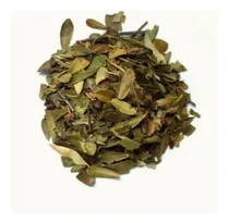 Comprar Uva Ursi (arctostaphylos Uva-ursi L) 100 G