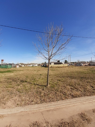 Imagen 11 de 12 de Terreno En Venta, Barrio Las Moras, Ricardone