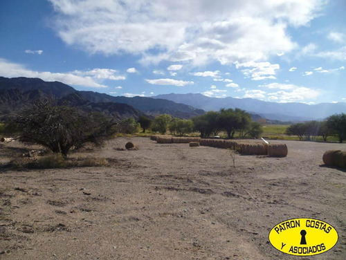 Imagen 6 de 22 de 2054hp-24000 Has Molinos Con Riego