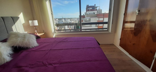 Imagen 9 de 17 de Departamento 2 Ambientes A La Calle Con Balcon En Venta En Mar Del Plata