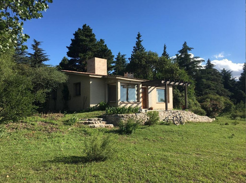 Imagen 4 de 10 de Campo - Villa Giardino