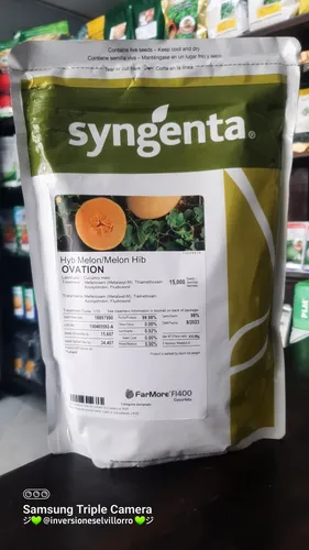 Melón Ovation F1