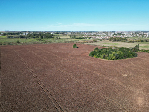 Campo De 37 Ha A Pocas Cuadras Del Cruce De R8 Y R51
