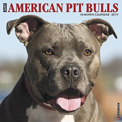 Just American Pit Bull Terriers 2019 Wall Calendar (dog Bree