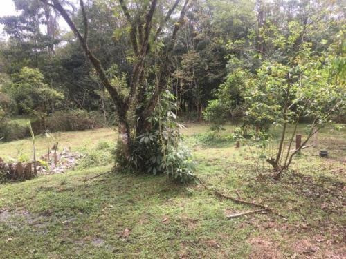 Chácara Com 1300m² No Jardim Aguapeu Em Itanhaém! - 5956