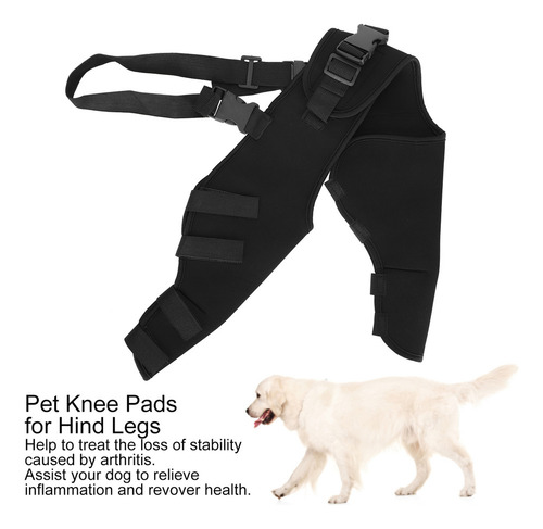 Protector De Patas Traseras Para Perro Mascota, Rodillera Aj