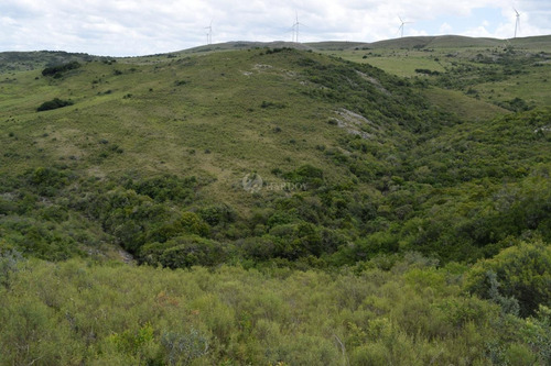 Imagen 11 de 20 de Venta Chacra Sierra Ruta 39 Aigua Sierra De Los Caracoles