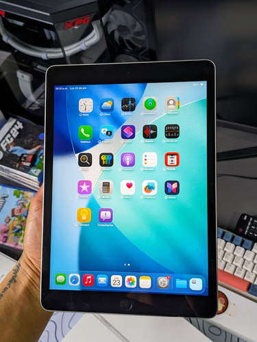 Ipad 9 Generacion Wifi 64gb Gris Claro (Usado)