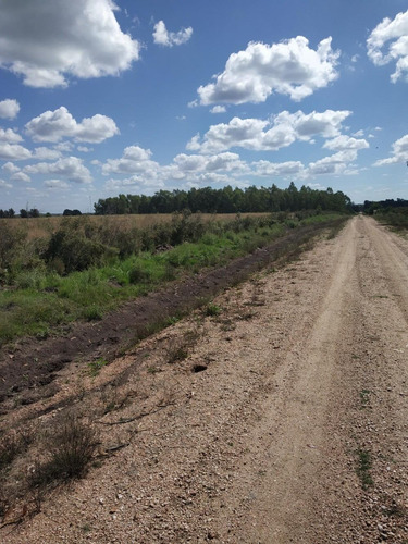 Vendo 3 Has Linda Zona Campo Alto Buena Vista Consulte!!!!!