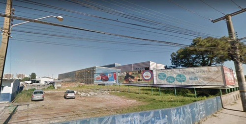 Imagem 4 de 10 de Terreno De 1.267 M² Com Viabilidade Para Construção Em Capoeiras - Florianópolis/sc - Te0410