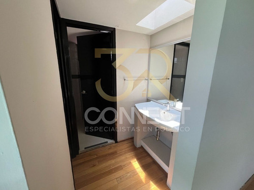 Oficina En Renta En Anzures - 8c/3b/1e - Terraza - 264m2