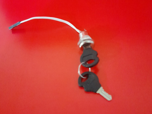 Imagen 3 de 4 de Cilindro Con Llave Del Cerco Electrico.