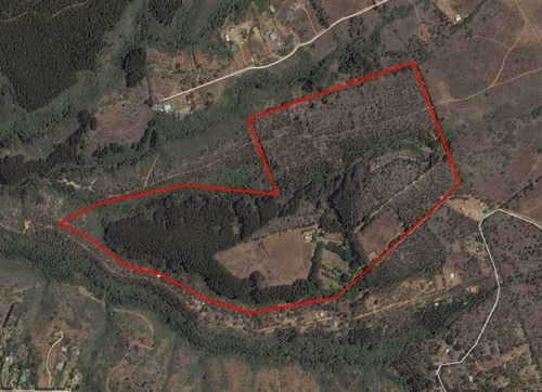 Imagen 24 de 24 de Agrícola En Venta En Algarrobo