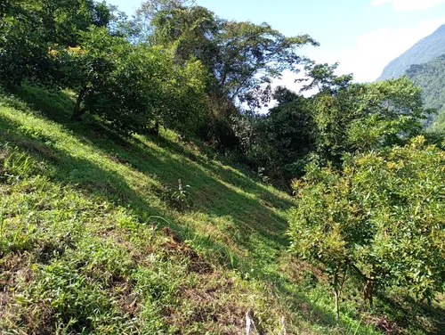 Finca Via Juntas - Ibagué