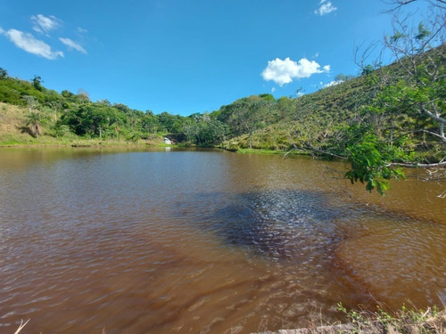 Imagem 23 de 30 de 03o-terreno A Venda Em Igarata
