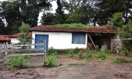 Terreno / Área Com 3 Quartos Para Comprar No Zona Rural Em Jaboticatubas/mg - 2806