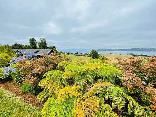 Se Vende Casa Con Vista Lago Y Volcán