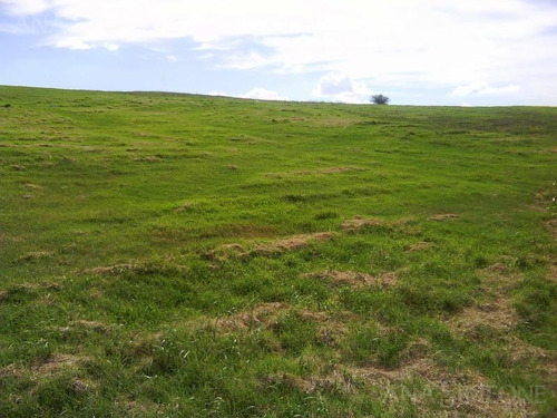 Imagen 25 de 30 de Excelente Terreno De 17 Ha, Sobre Camino Del Buen Ayre