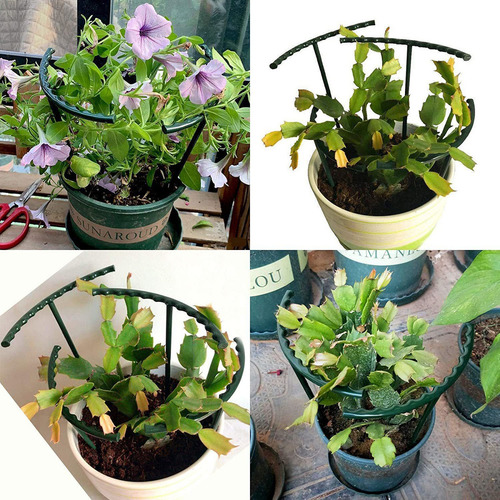 20 Piezas Estaca Apoyo A La Planta Soporte De Flores Jardín