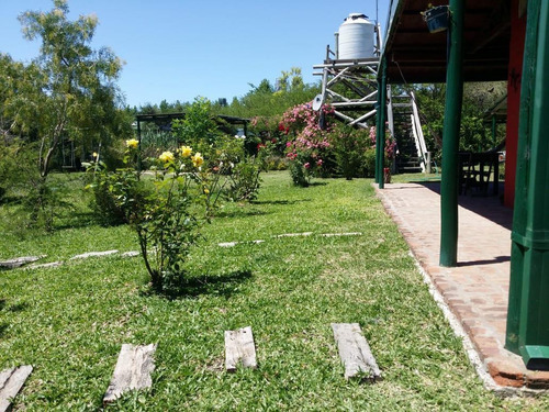 Imagen 4 de 11 de Campo - Colonia Hughes