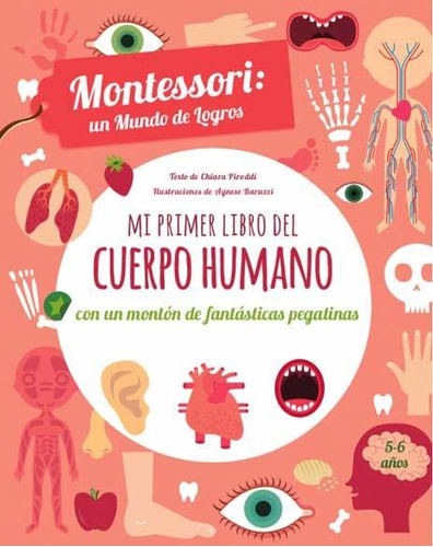 Libro Mi Primer Libro Del Cuerpo Humano - Vv.aa.