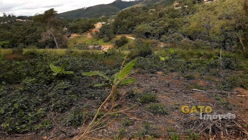 Imagem 6 de 7 de Chácara Para Venda Em Cajamar, Ponunduva - 19917_1-1471582