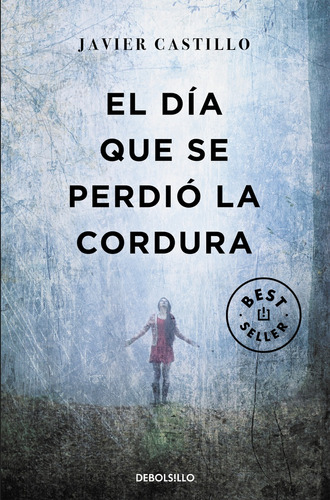 El Día Que Se Perdió La Cordura - Javier Castillo