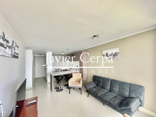 Arriendo De Marzo A Diciembre Depto Amoblado