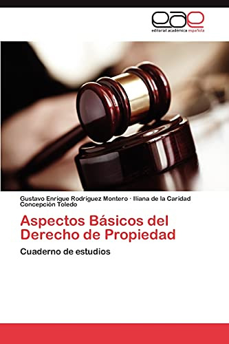 Aspectos Básicos Del Derecho De Propiedad: Cuaderno De Estud