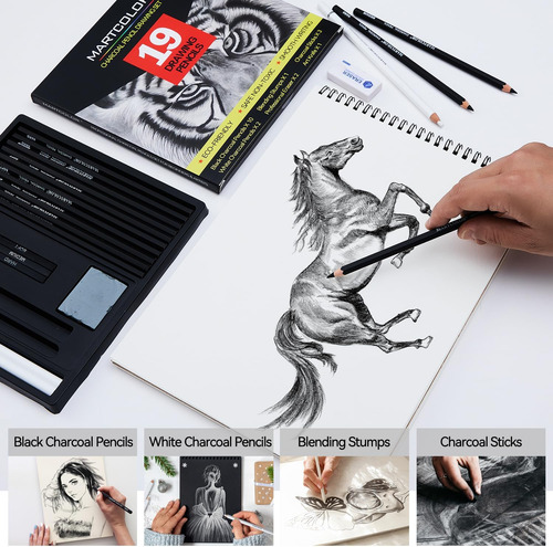 Set De Dibujo Carbón, 19 Piezas, Lápices De Carbón N...