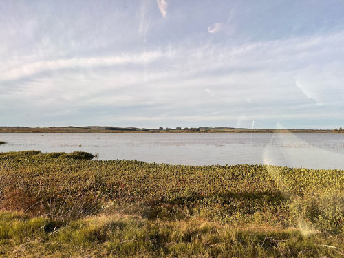 Venta Terreno, Laguna De Los Cisnes, Maldonado
