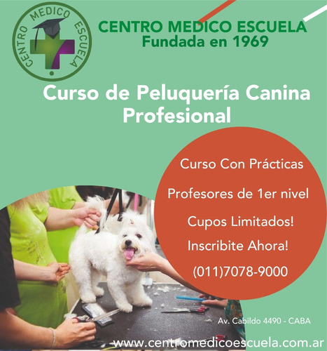 Imagen 1 de 4 de Curso De Peluqueria Canina Profesional.centro Médico Escuela