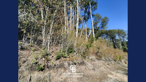 Imagen 11 de 23 de Venta Lote/terreno Fracción De 6500,24 M2 Vista Al Lago Faldeo Del Bayo Villa La Angostura