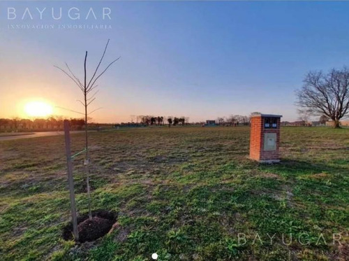 Venta - Lotes En Pilar Del Este - Bayugar Negocios Inmobiliarios