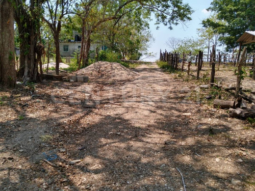 Terreno Rustico En Venta, Palenque Chiapas
