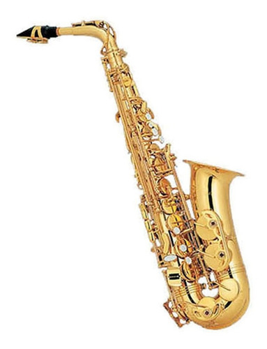 Imagen 1 de 1 de Saxofon Alto Dorado Con Estuche 