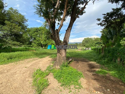 Imagem 15 de 15 de Fazenda - Zona Rural - Ref: 5300 - V-mta5300