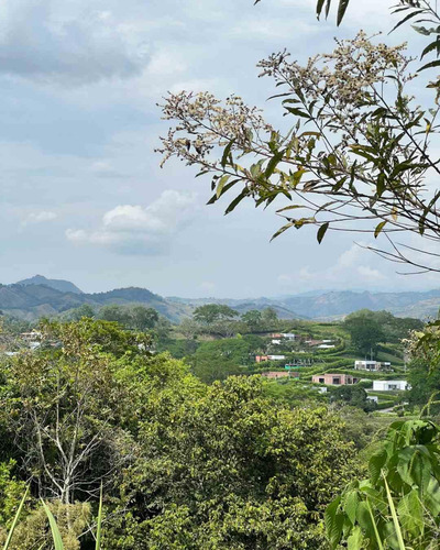 Lote En Venta En Km 41- Caldas (279057670).