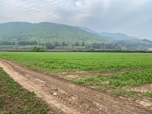 Terreno Para Proyecto Inmobiliario O Comercial Barros Negros