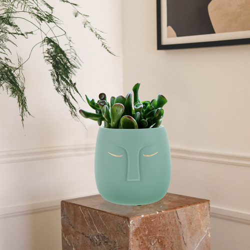 Macetas Para Plantas Con Figura Abstracta, Maceta