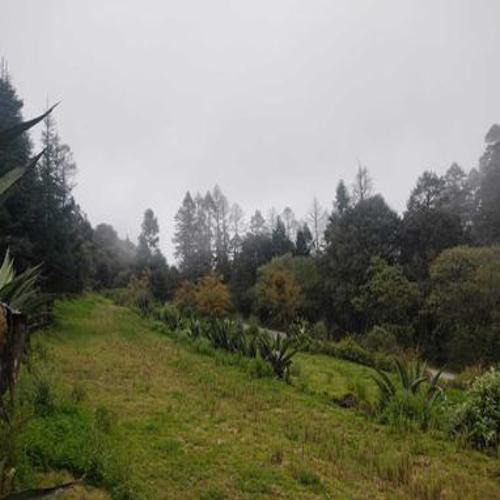 Excelente Terreno En Sta. Rosalia , Mineral Del Monte